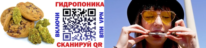 продажа наркотиков  Себеж  Canna-Cookies марихуана 