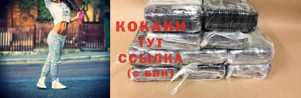 сатива Краснотурьинск