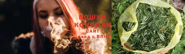 индика Россошь